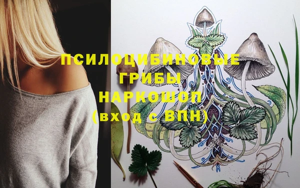прущий лед Володарск