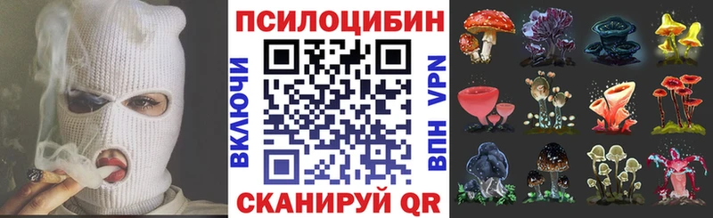 Купить где  Высоковск  Псилоцибиновые грибы Psilocybe 